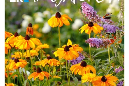Titelbild Im Garten-Magazin 2/22